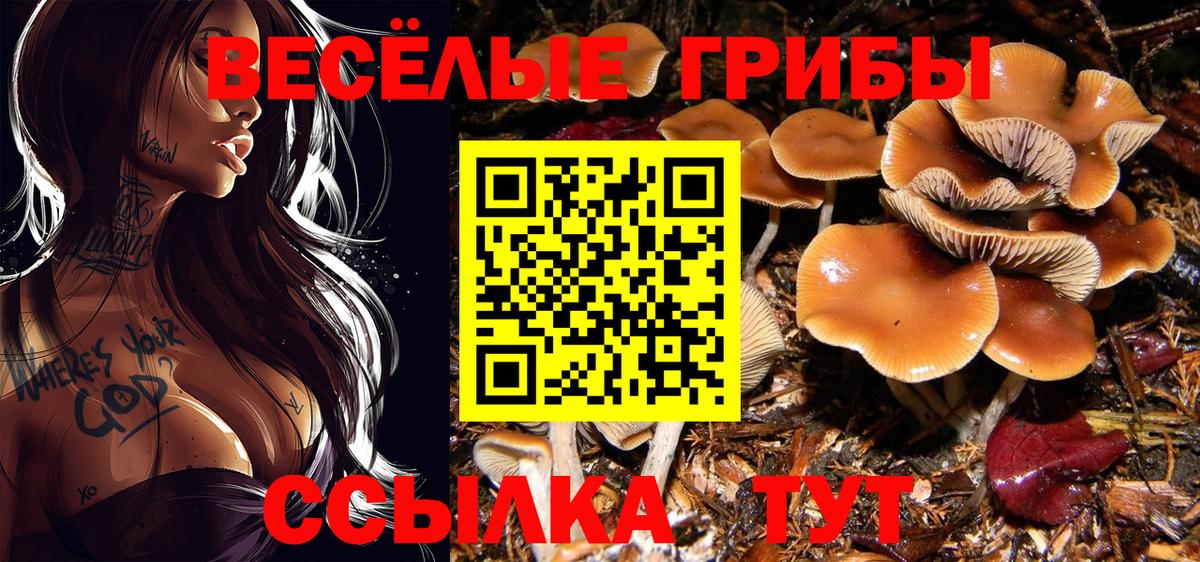 Сланцы  Галлюциногенные грибы мухоморы  Вход с VPN 
